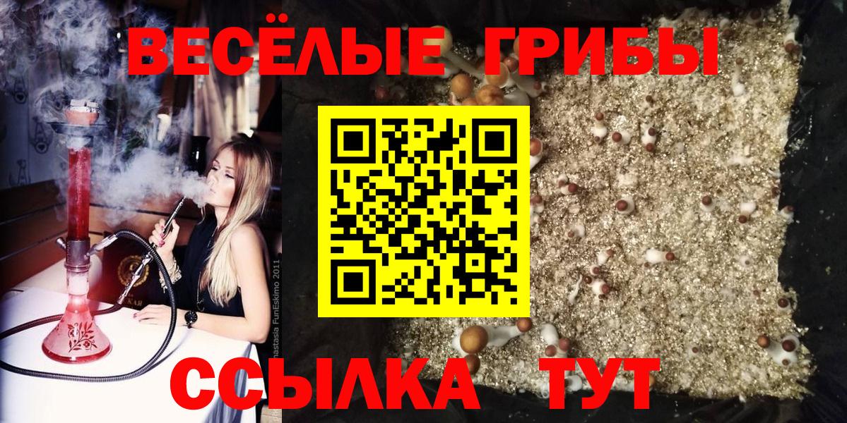 Псилоцибиновые грибы Cubensis Протвино
