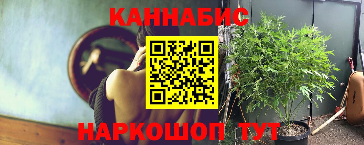 Конопля OG Kush  Шишки марихуана Amnesia  Протвино  Марихуана марихуана  Вход с VPN 